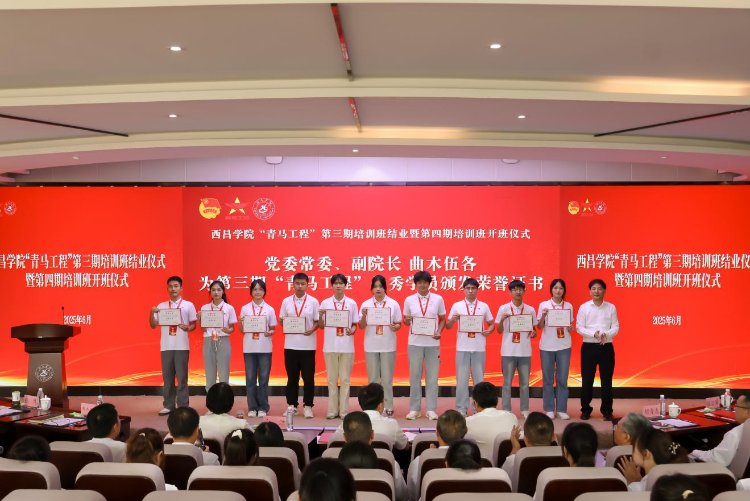 图片4