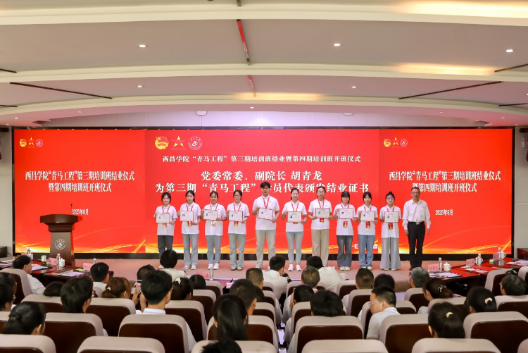 图片5